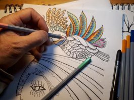 Design Therapy – Flower walks